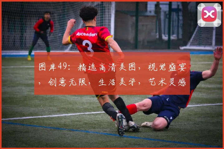 图库49：精选高清美图，视觉盛宴，创意无限，生活美学，艺术灵感汇聚地