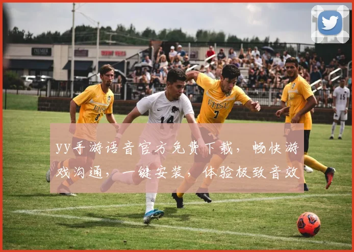 yy手游语音官方免费下载，畅快游戏沟通，一键安装，体验极致音效，三步完成