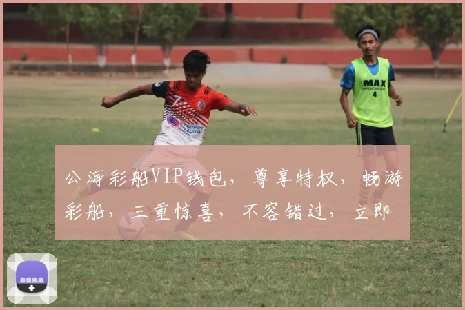 公海彩船VIP钱包，尊享特权，畅游彩船，三重惊喜，不容错过，立即体验