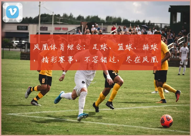 凤凰体育综合：足球、篮球、排球，精彩赛事，不容错过，尽在凤凰体育